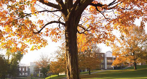 University of Waterloo Campus